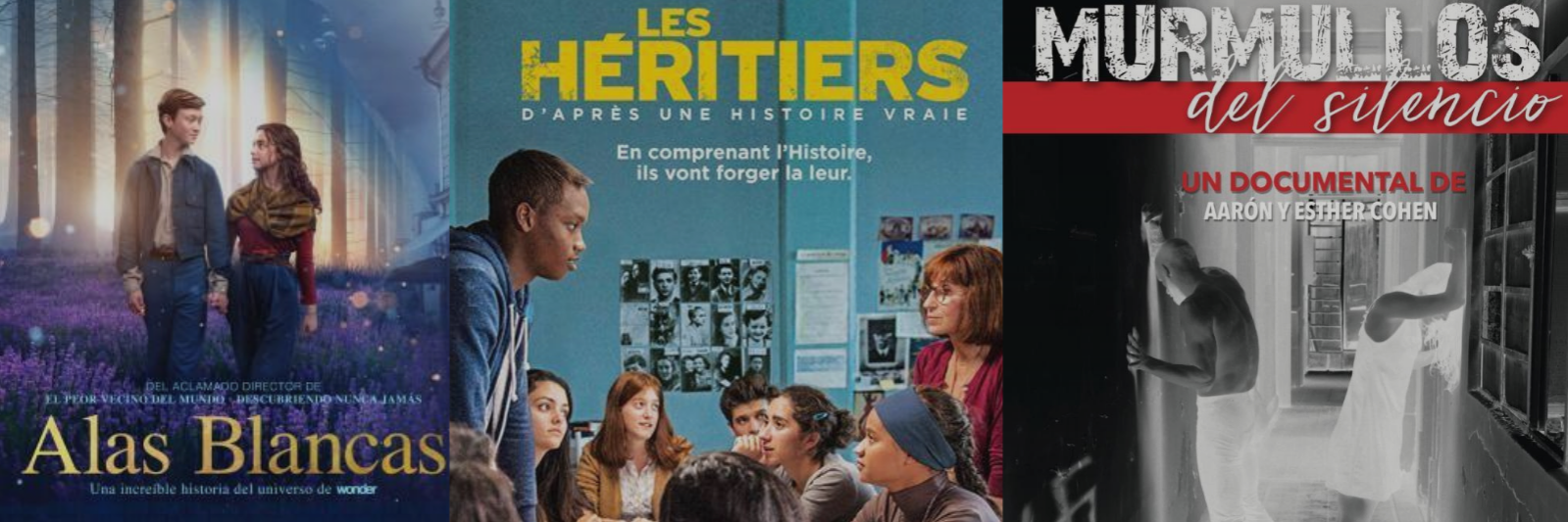 20250129 – ACTUALIDAD CICLO CINE – WEB